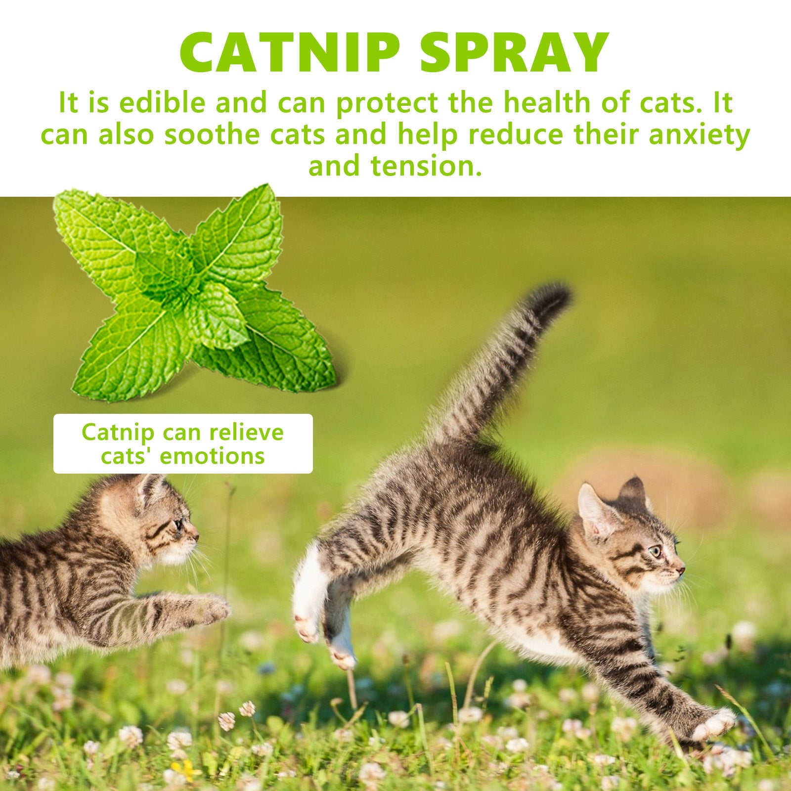 Catnip Spray, Relieve Cat Anxiety And Enhance Pet Vitality Health Care Spray
