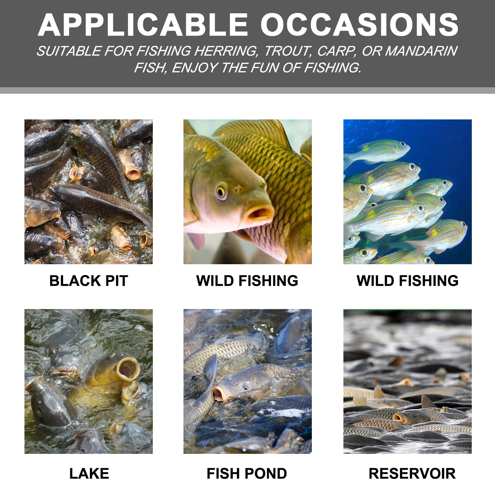 Corn Fish Bait, Reservoir Fish Bait Fishing Lure Fish Portable Fish Primer