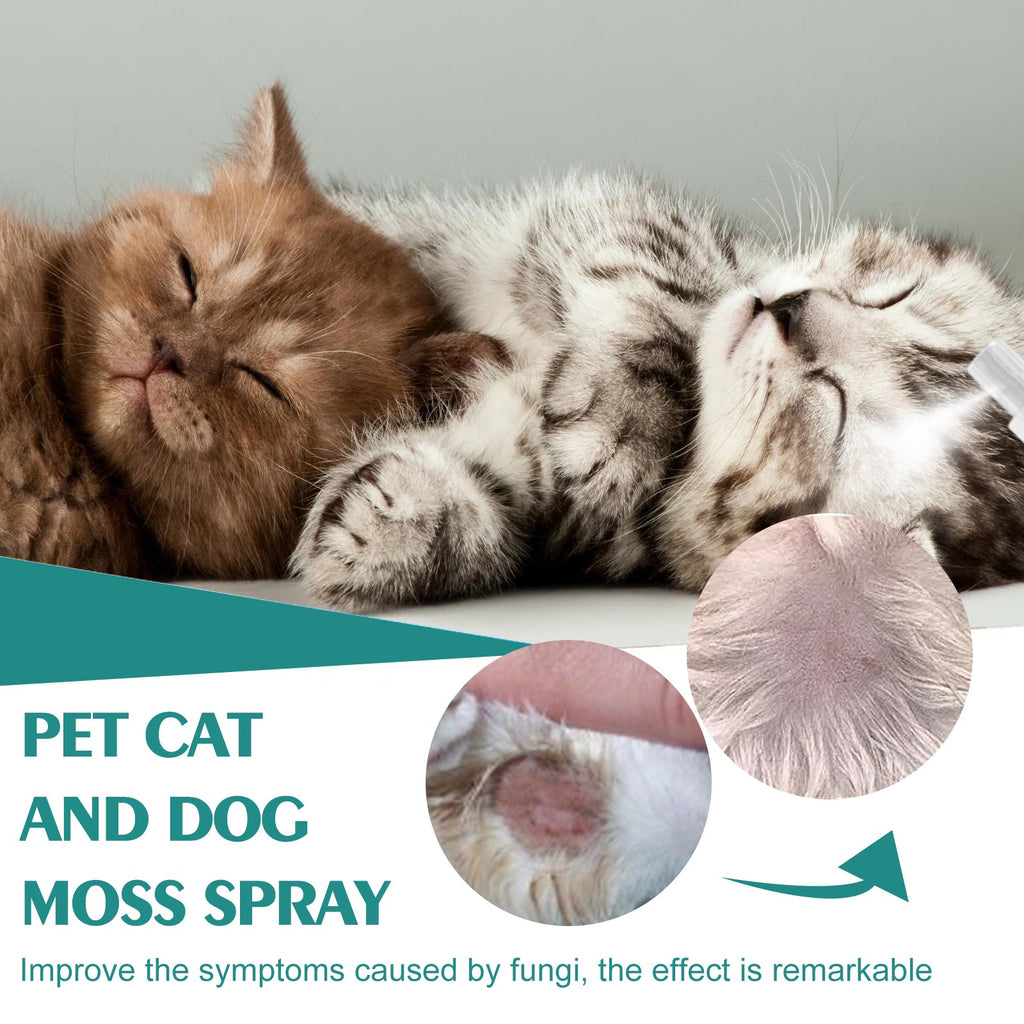 Pet Skin Medicine Spray, Cats And Dogs To Remove Mite Skin Itching To Remove Red Hair To Itch