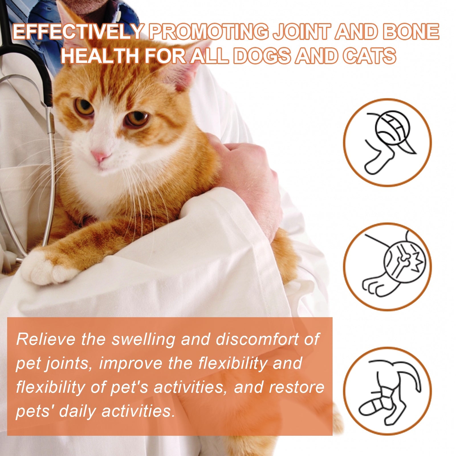Pet Joint Repair Spray, Relieve Pet Joint Discomfort Muscle Weakness Pet Joint Care Spray