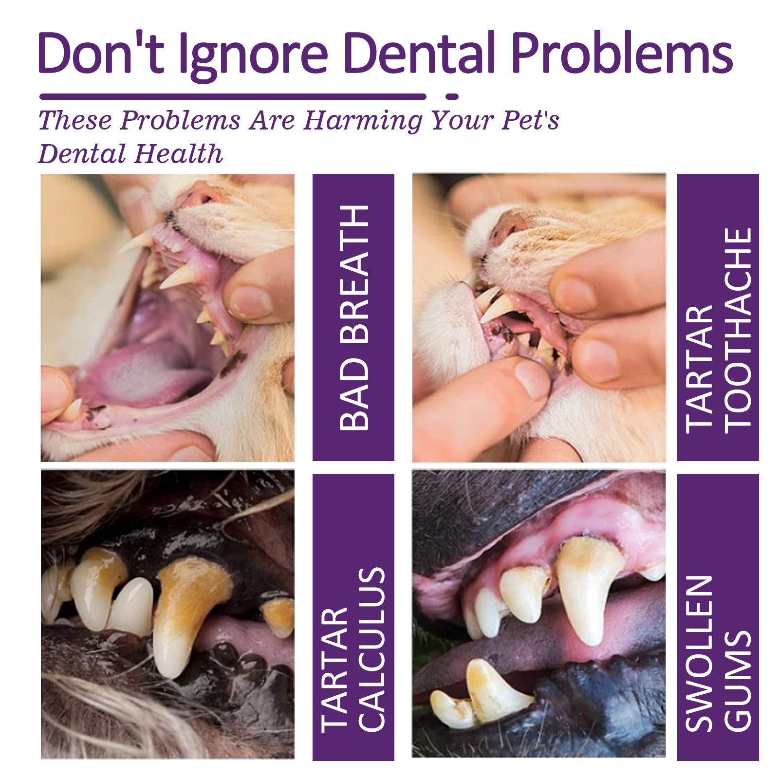 Pet V34 Toothpaste, Pet Clean Bad Breath Tartar Care Gum Care Toothpaste