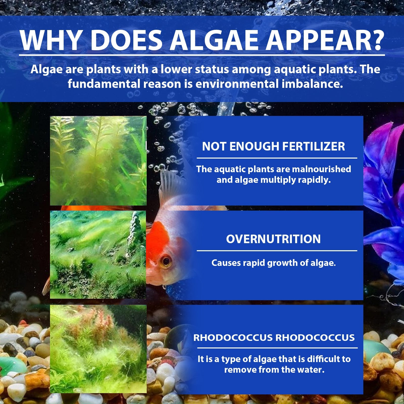 Fish Tank Water Purifier Removes Algae Powder, Clean Fish Tank Remove Moss Algae Net Water Quality Instant Algae Removal Powder