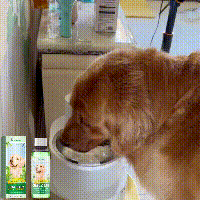 Pet Fresh Breath Cleanser Teeth Water Dog Dog Cat Tooth Stains Mouth Cleaning Ear Canal Odor Cleaning Earwax