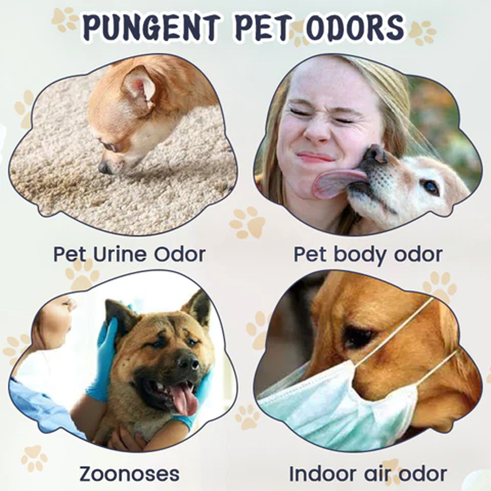 Pet Odor & Stain Eliminator, Clean Dog And Cat Body Odor Feces Odor Removal Indoor Fresh Deodorizer