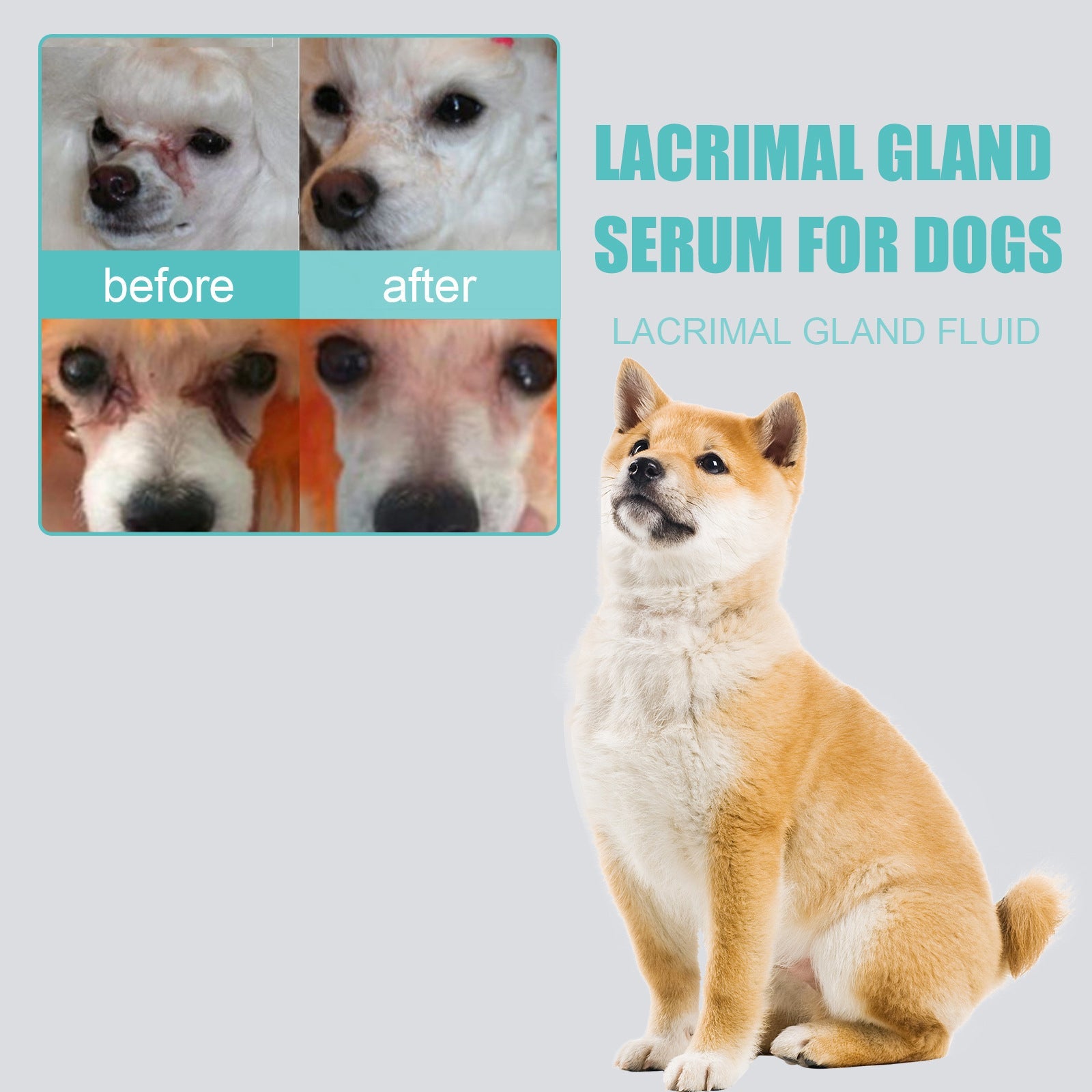 Tear Duct Serum For Dogs, Cats And Dogs Removal Eye Poop Pet Topical Eye Tear Stain Serum
