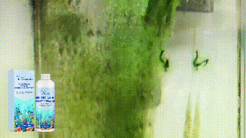 Fish Tank Water Purifier Removes Algae Powder, Clean Fish Tank Remove Moss Algae Net Water Quality Instant Algae Removal Powder