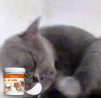 Pet Ear Wipes, Pet Ear Cleaning Deodorizing Removing Mite And Earwax Cleaning Wipes