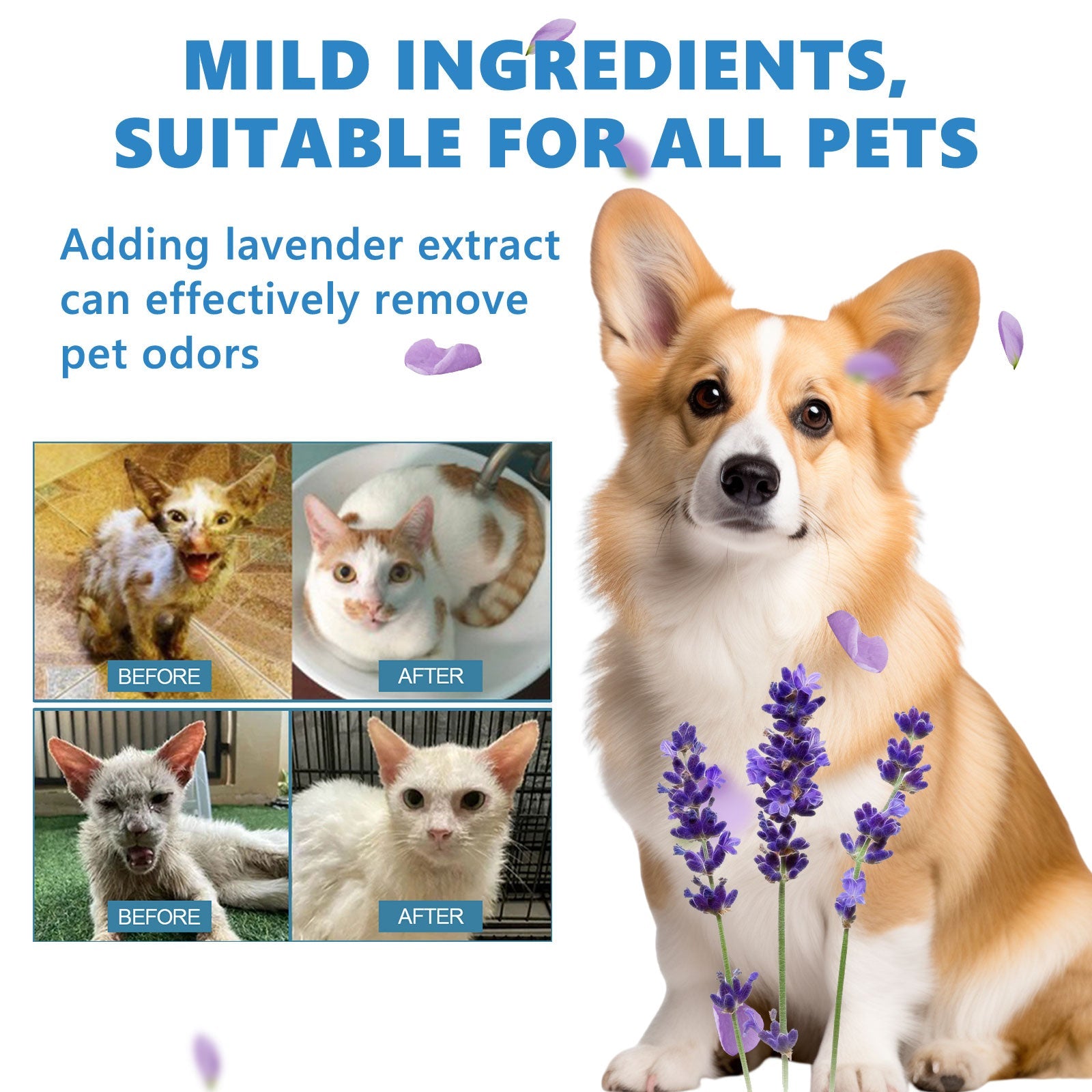 Pet Leave-In Serum Set For Cats And Dogs To Clean Hair Fluffy, Soft And Fragrance Care Essence