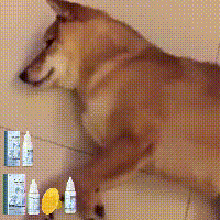 Pet Leave-In Serum, For Cats And Dogs Fluffy, Soft And Fragrant Hair Care Serum