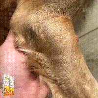 Pet Joint Repair Spray, Relieve Pet Joint Discomfort Muscle Weakness Pet Joint Care Spray