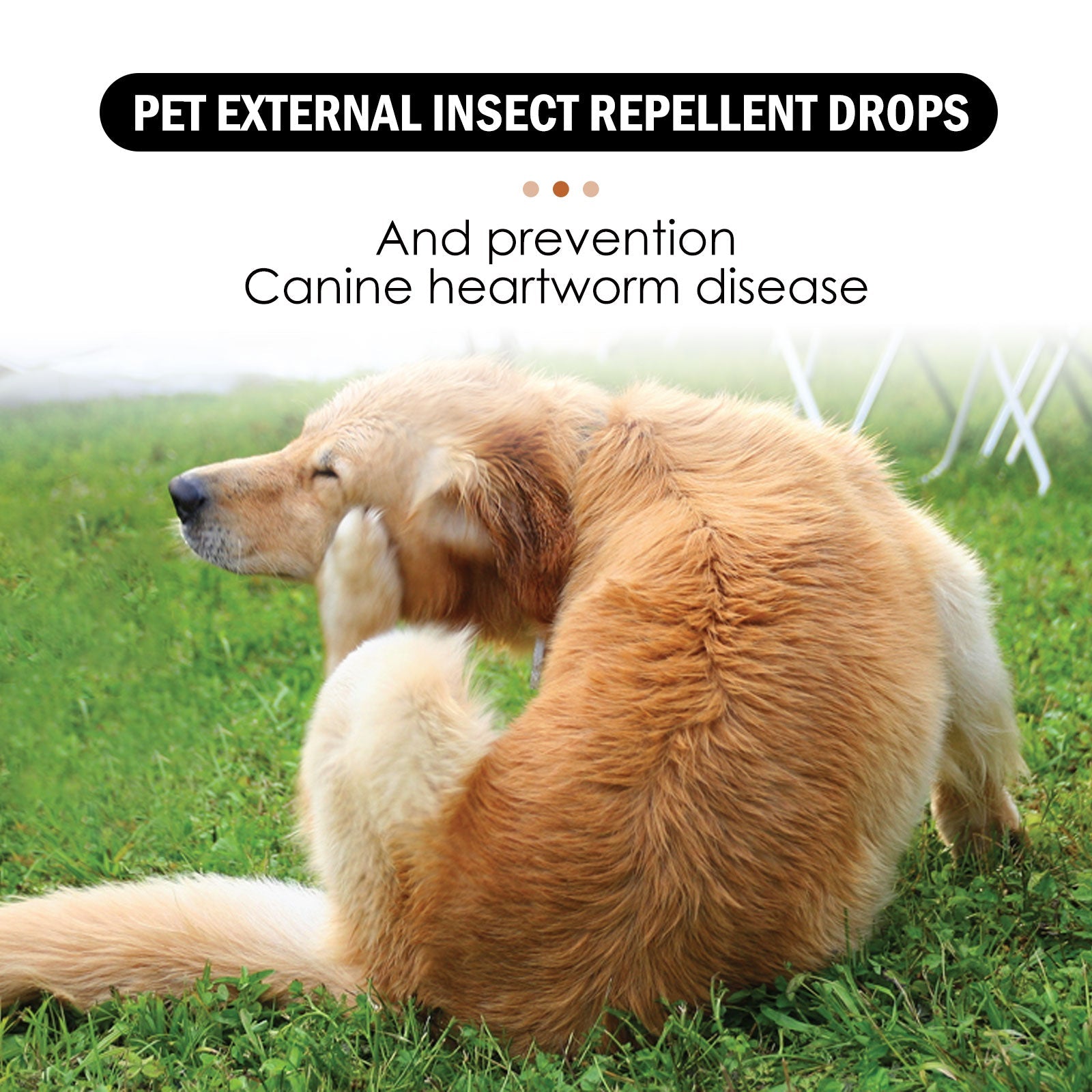 Pet Extracorporeal Insect Repellent Drops, Cats And Dogs Clean To Remove Ticks And Fleas Drops
