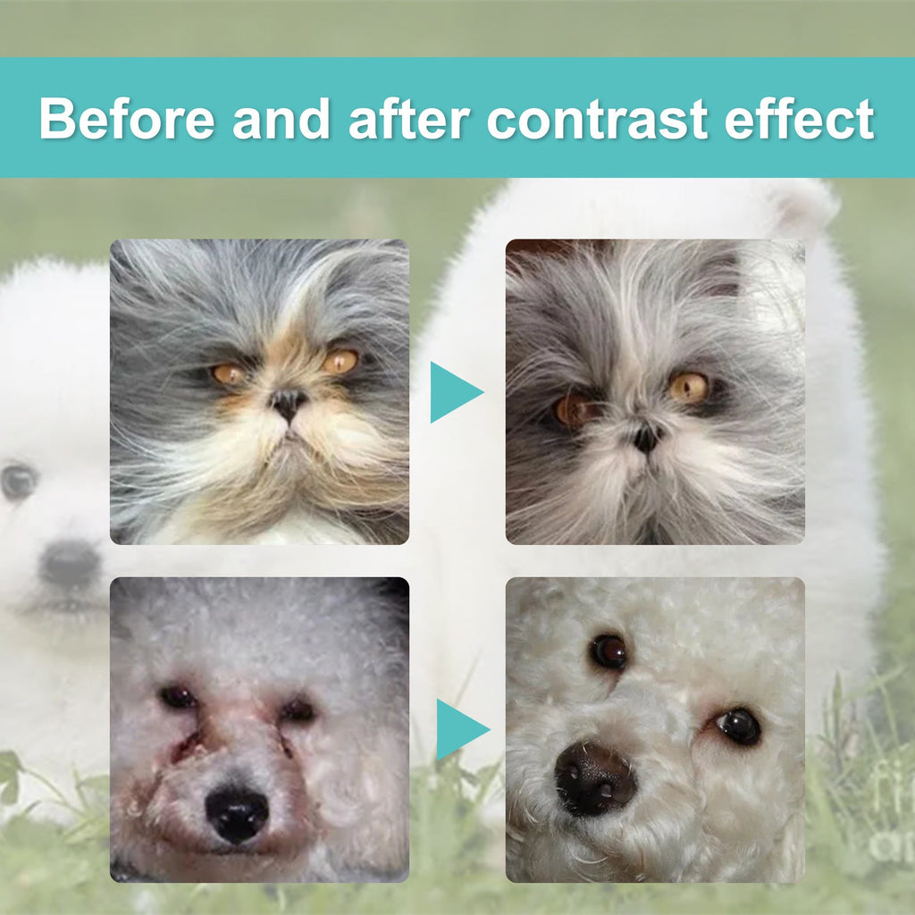 Tear Duct Serum For Dogs, Cats And Dogs Removal Eye Poop Pet Topical Eye Tear Stain Serum