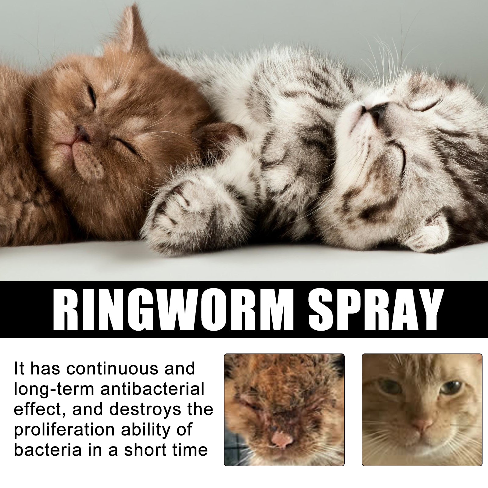 Cat Ringworm Spray, Pet Cats Anti-Mite Cat Moss Care Skin External Use Anti-Itch Spray