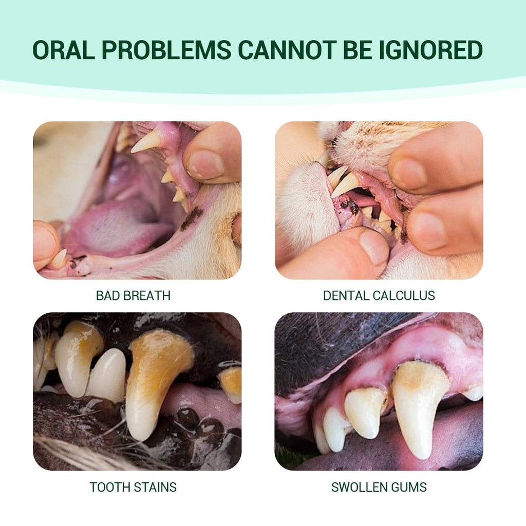 Pet Fresh Breath Cleanser Teeth Water Dog Dog Cat Tooth Stains Mouth Cleaning Ear Canal Odor Cleaning Earwax