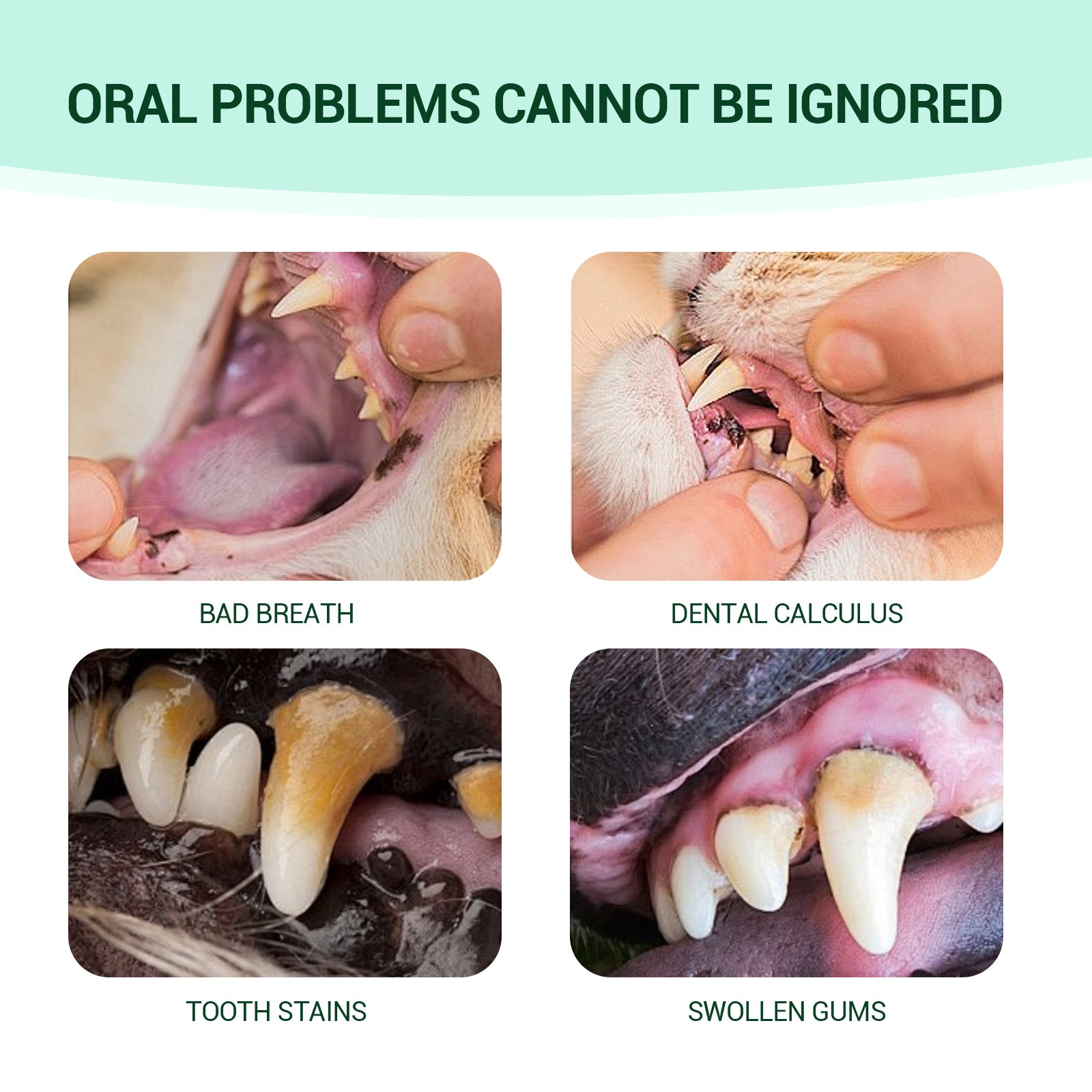 Pet Fresh Breath Cleanser Teeth Water Dog Dog Cat Tooth Stains Mouth Cleaning Ear Canal Odor Cleaning Earwax