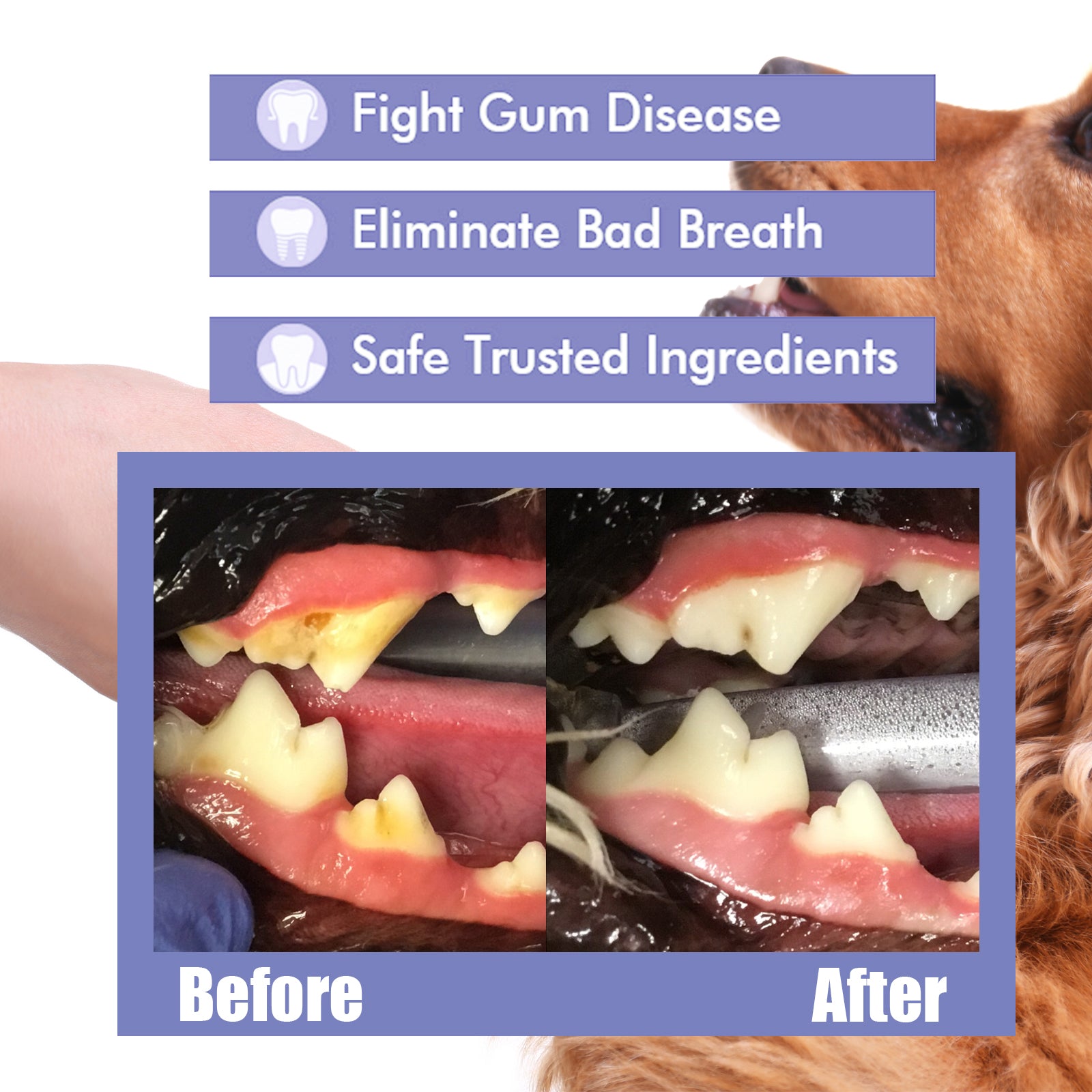 Tooth Cleaning Spray For Cats And Dogs, Remove Tooth Stains Fresh Breath Pets Oral Care Spray
