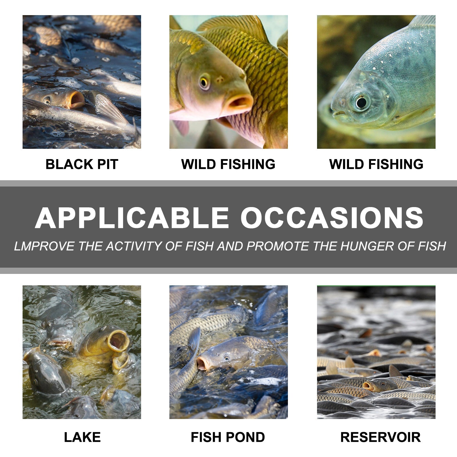 Bait Attractant, Reservoir Bait Fishing Bait Fish Portable Fish Primer