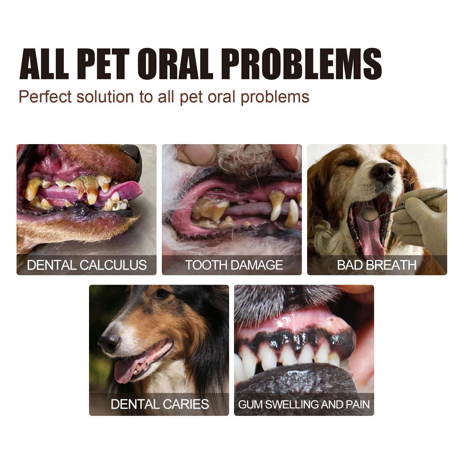 Pet Tooth Cleaning Spray, Cats And Dogs Removal Tartar Stains Bad Breath Oral Cleaning Spray