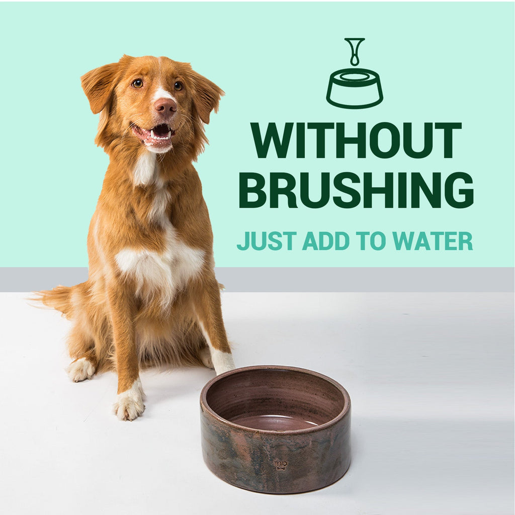 Pet Fresh Breath Cleanser Teeth Water Dog Dog Cat Tooth Stains Mouth Cleaning Ear Canal Odor Cleaning Earwax