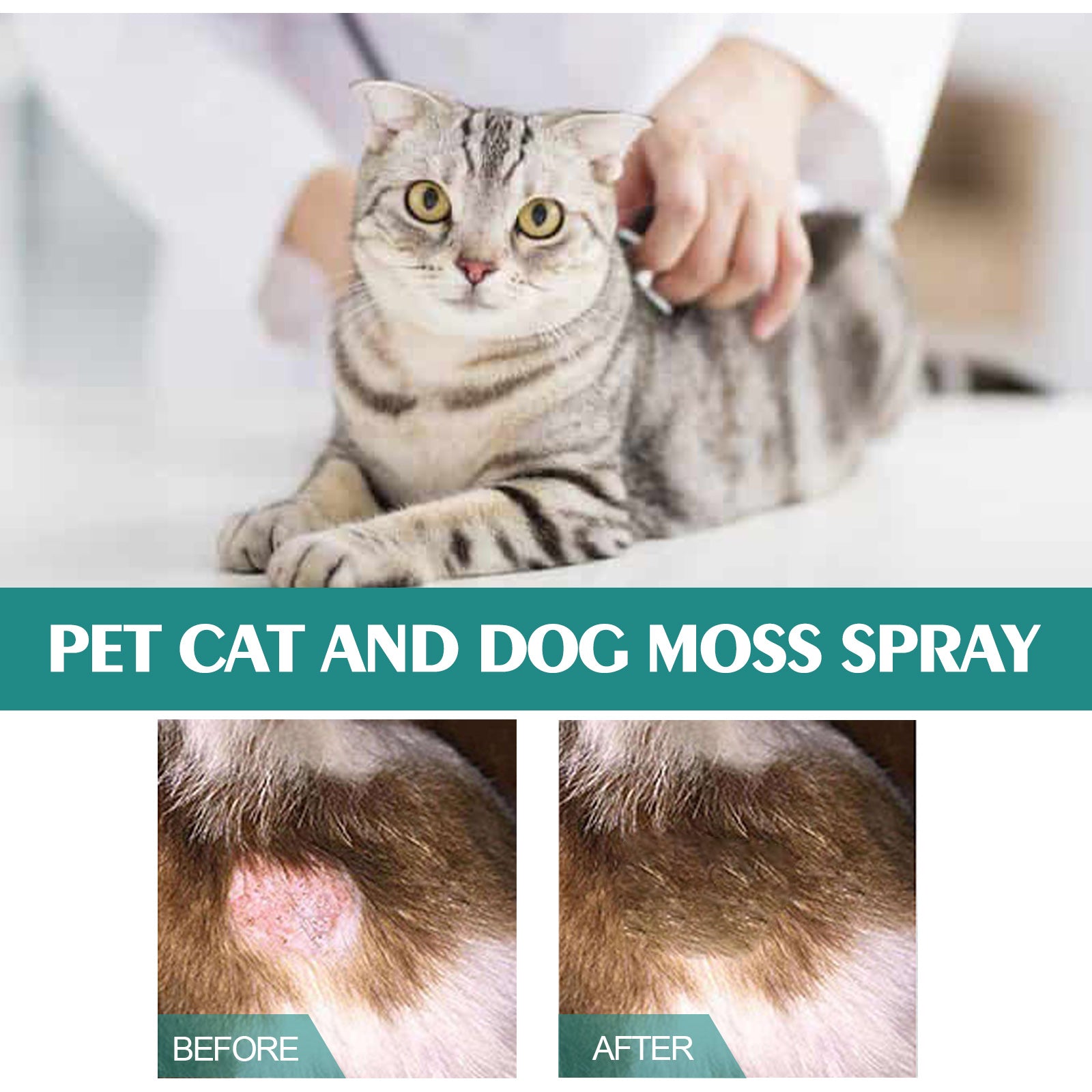 Pet Skin Medicine Spray, Cats And Dogs To Remove Mite Skin Itching To Remove Red Hair To Itch