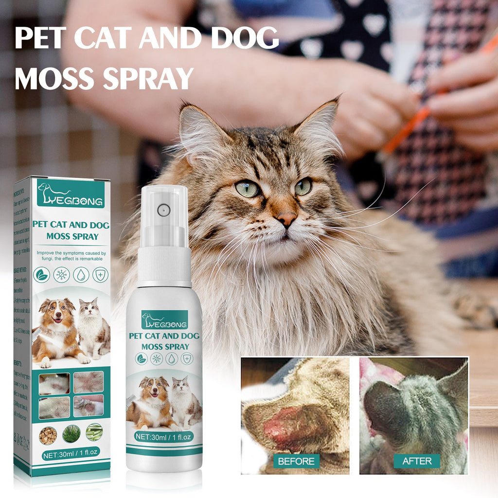 Pet Skin Medicine Spray, Cats And Dogs To Remove Mite Skin Itching To Remove Red Hair To Itch