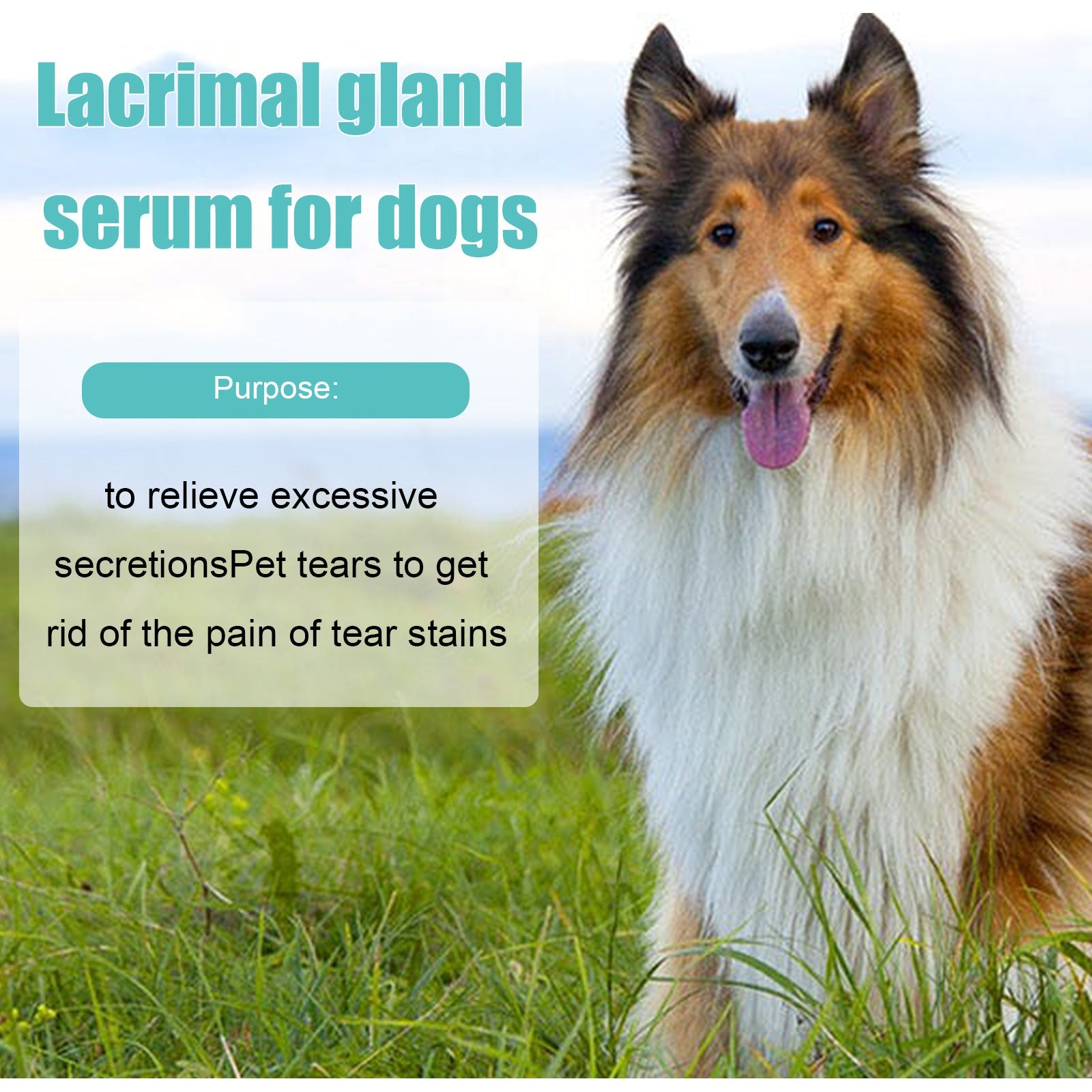 Tear Duct Serum For Dogs, Cats And Dogs Removal Eye Poop Pet Topical Eye Tear Stain Serum