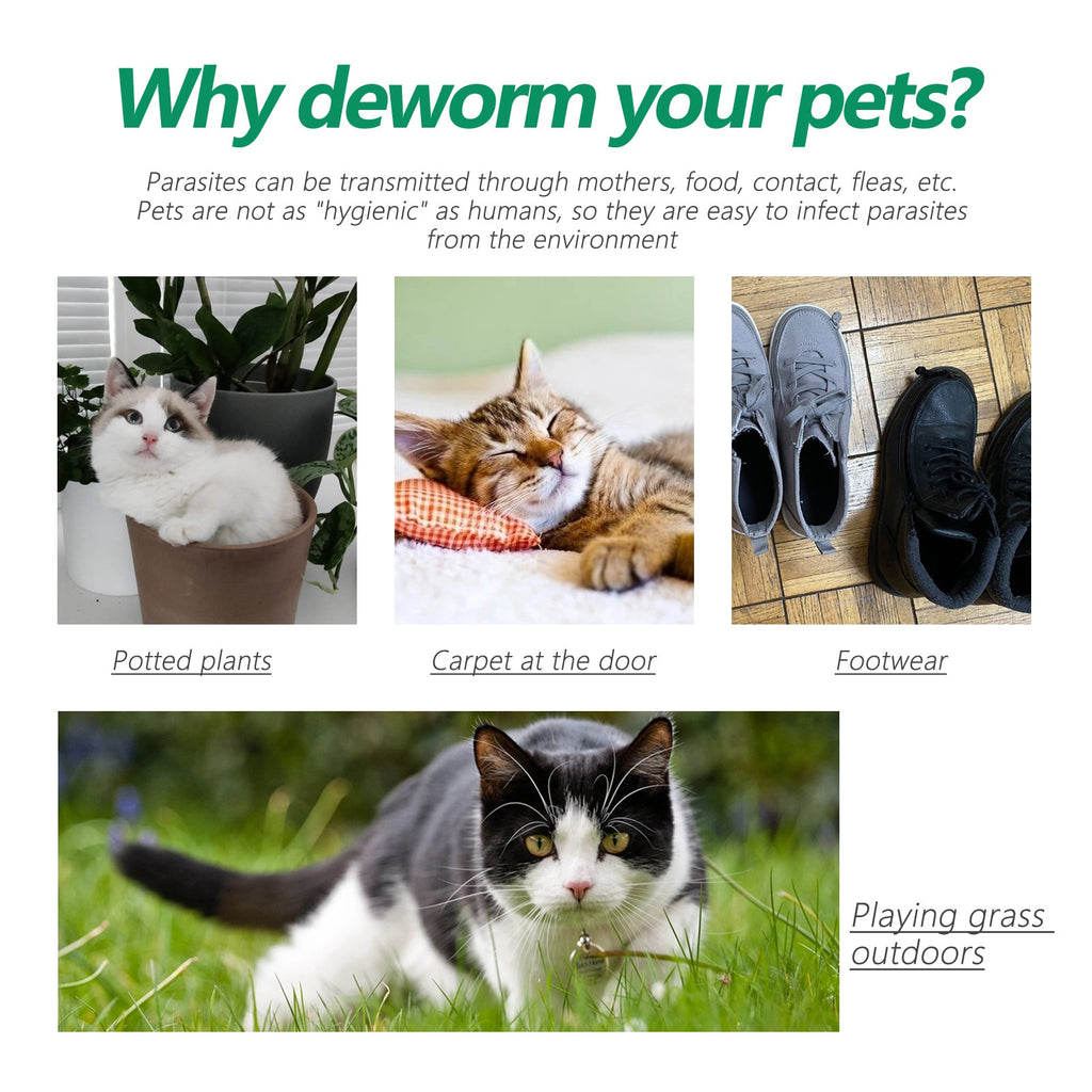 Pet Deworming Collar, Flea Resistant Tick Resistant Pet Waterproof Adjustable Deworming Collar