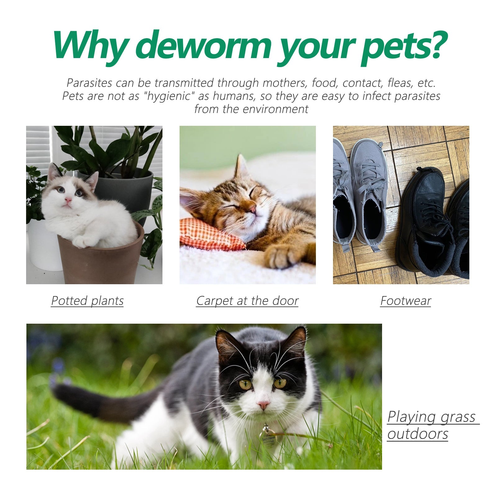 Pet Deworming Collar, Flea Resistant Tick Resistant Pet Waterproof Adjustable Deworming Collar