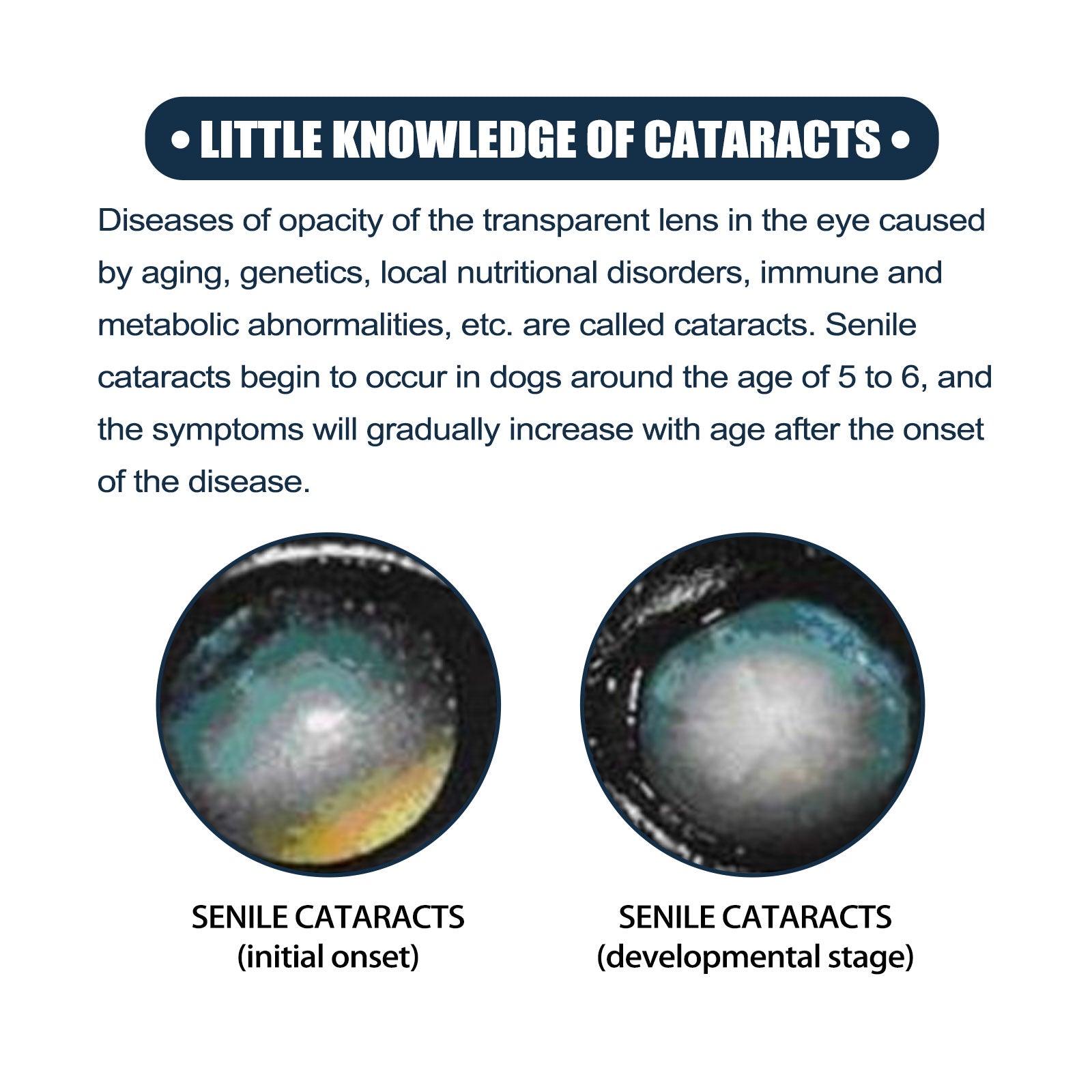 Pet Eye Drops, Cats And Dogs Remove Tears Relieve Eyes Itchy Cleansing Eye Drops