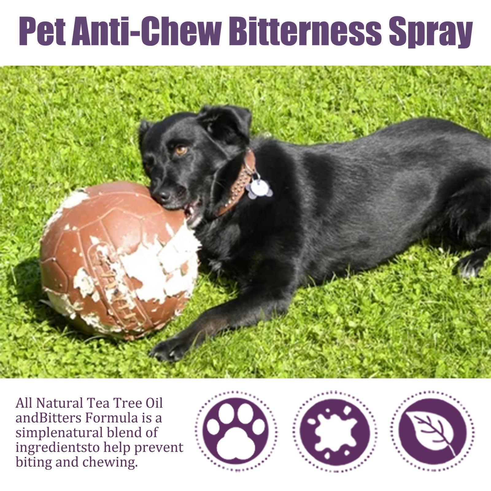 Anti-Chewing Bitter Spray For Pets, Prevent Dogs Tearing Apart Homes Scratching And Biting Long-Lasting Indoor Repellent Spray