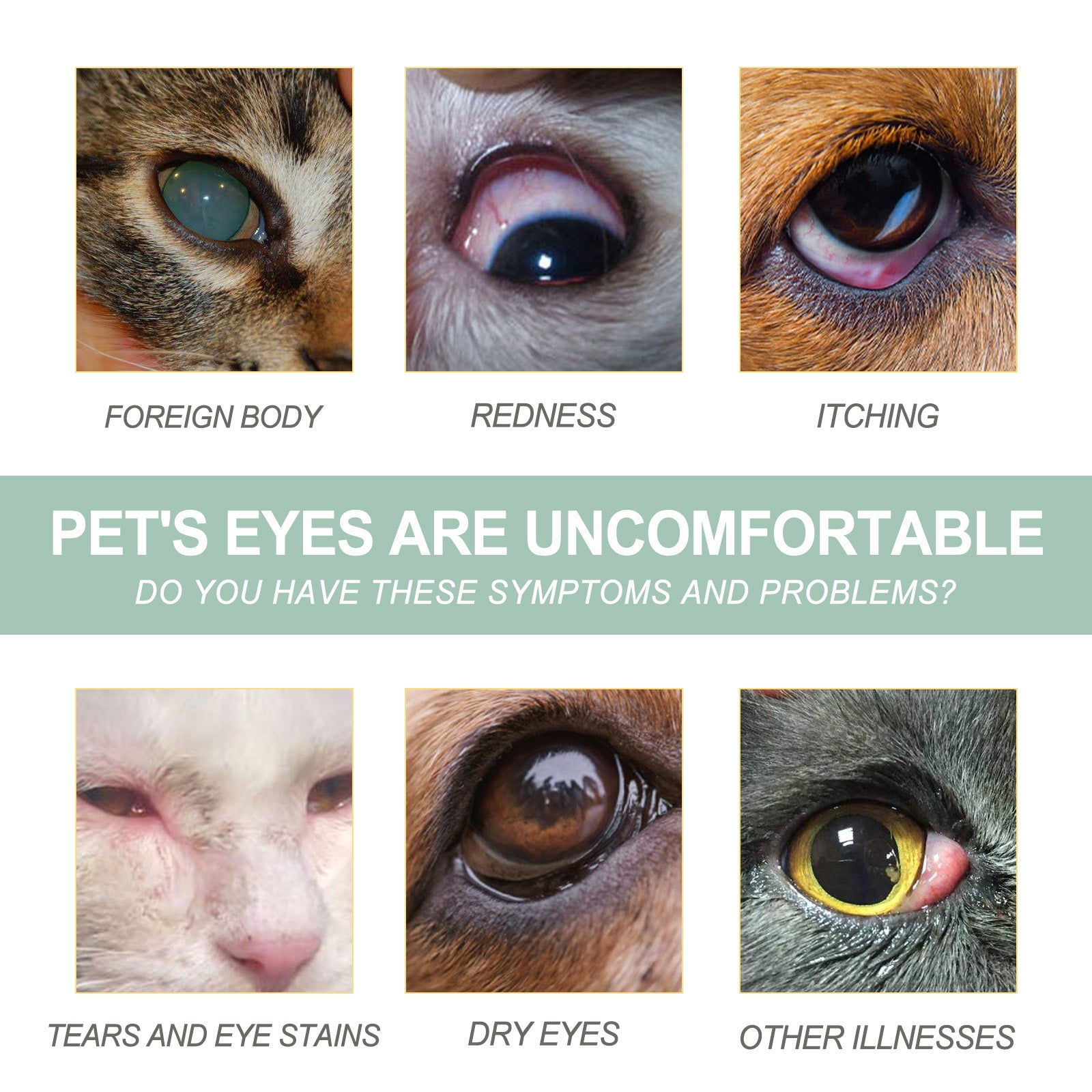 Eye Drops For Cats And Dogs, Pet Eye Clean Eye Care Drops For Tear Stains And Dirt