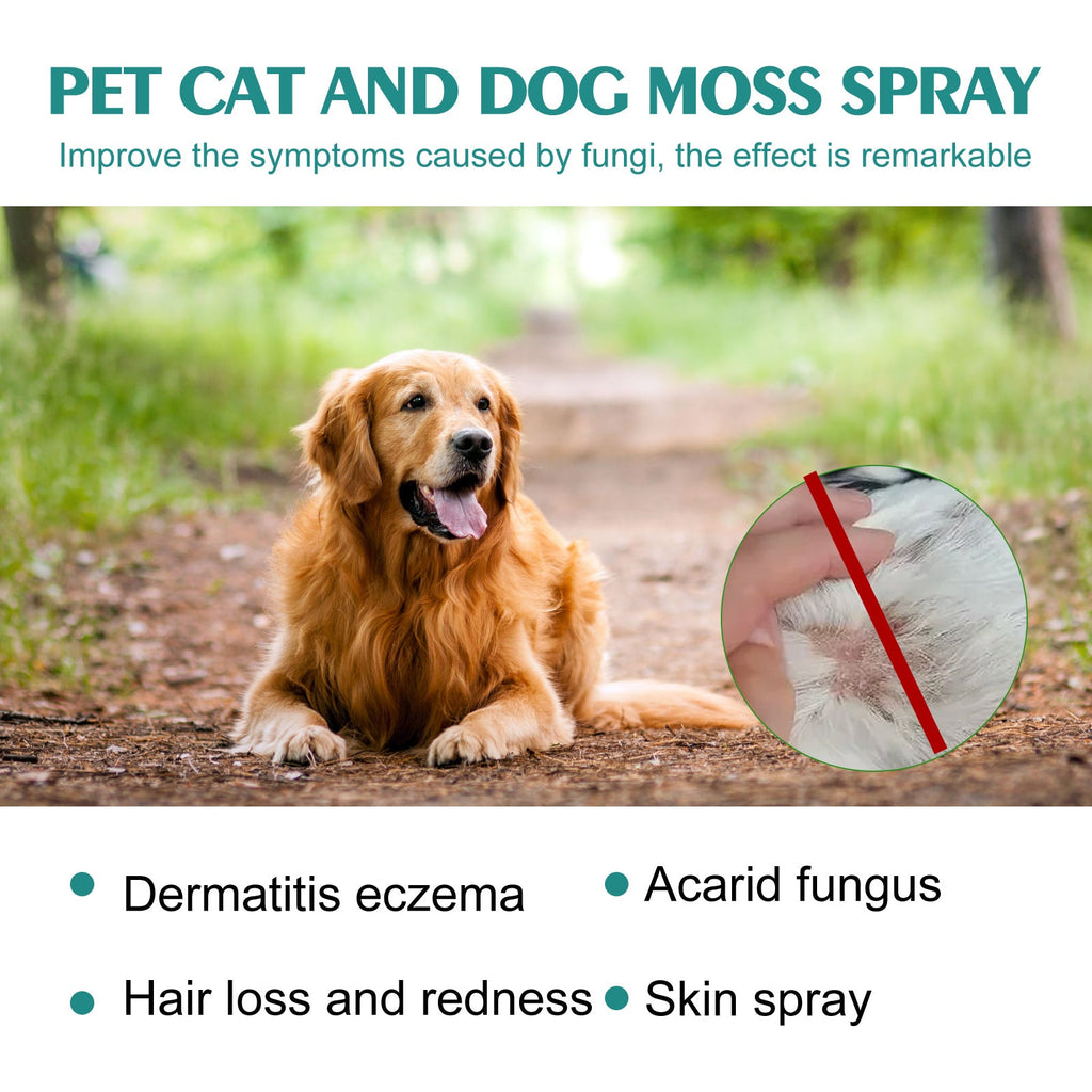 Pet Skin Medicine Spray, Cats And Dogs To Remove Mite Skin Itching To Remove Red Hair To Itch