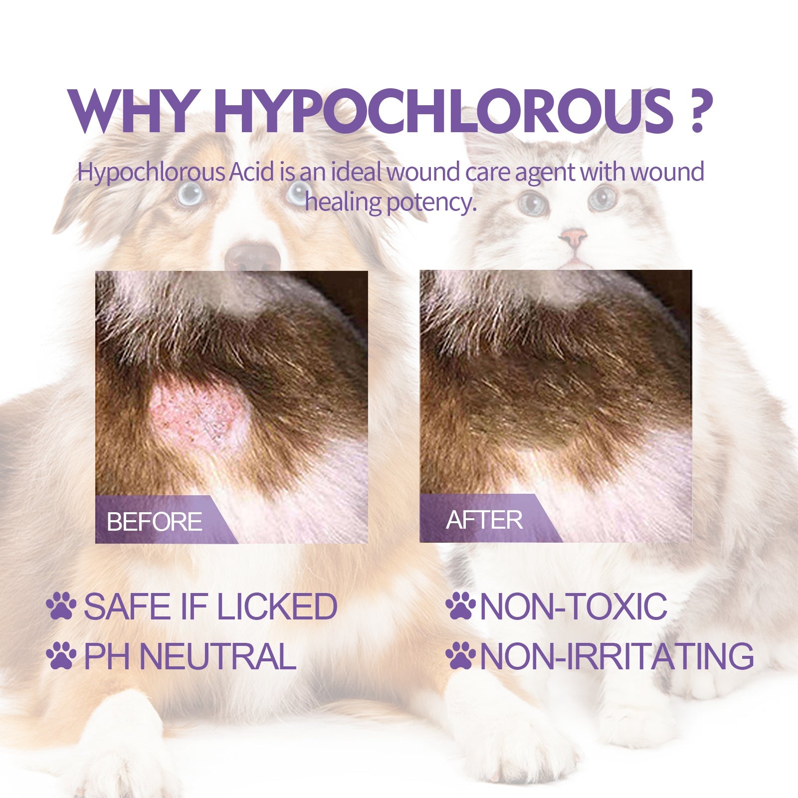 Pet Skin Relief Spray, Relieves Dog And Cat Skin Itchiness Eliminates Mites Cleaning Care Spray