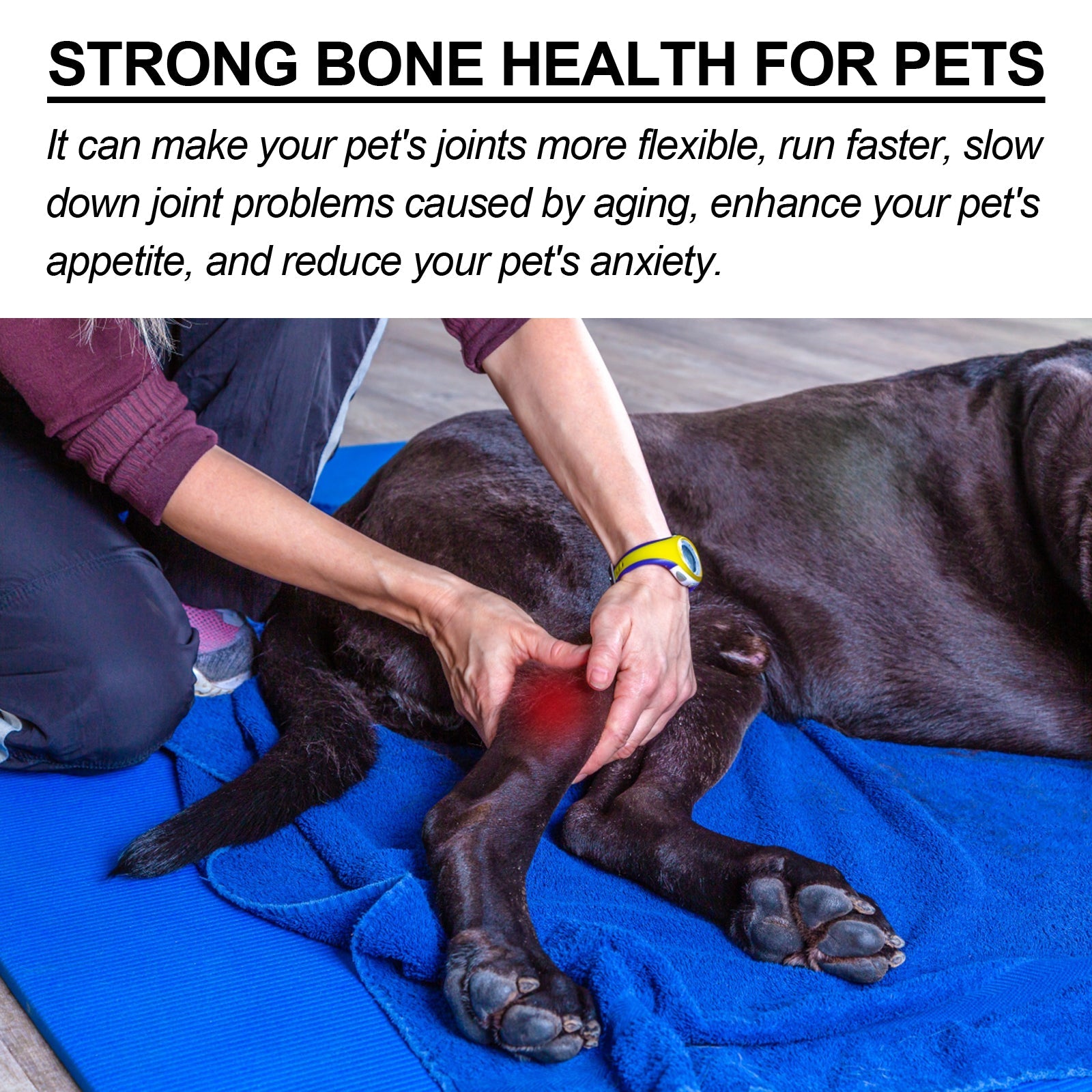 Pet Joint Repair Spray, Relieve Pet Joint Discomfort Muscle Weakness Pet Joint Care Spray