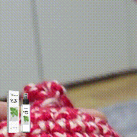 Catnip Spray, Relieve Cat Anxiety And Enhance Pet Vitality Health Care Spray