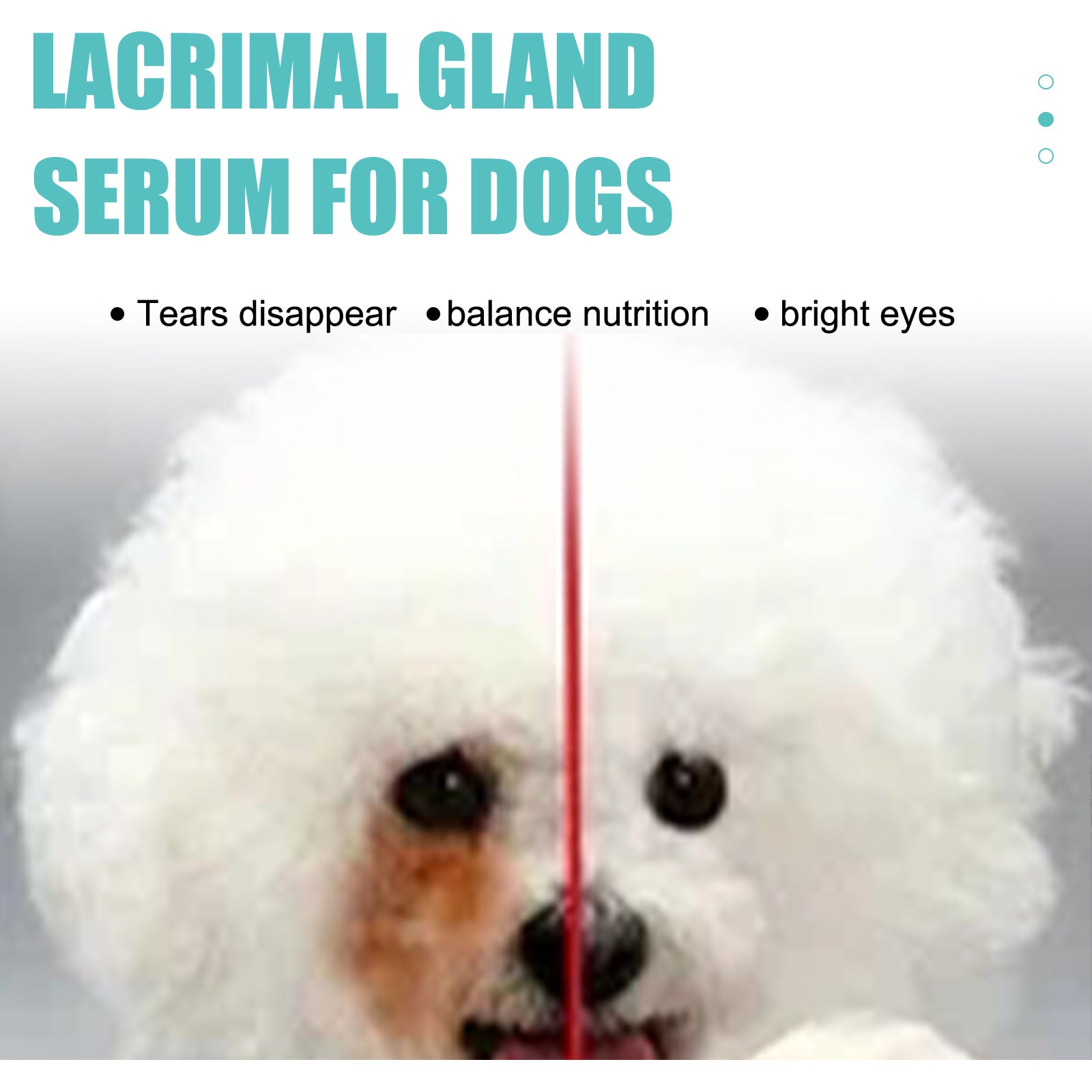 Tear Duct Serum For Dogs, Cats And Dogs Removal Eye Poop Pet Topical Eye Tear Stain Serum