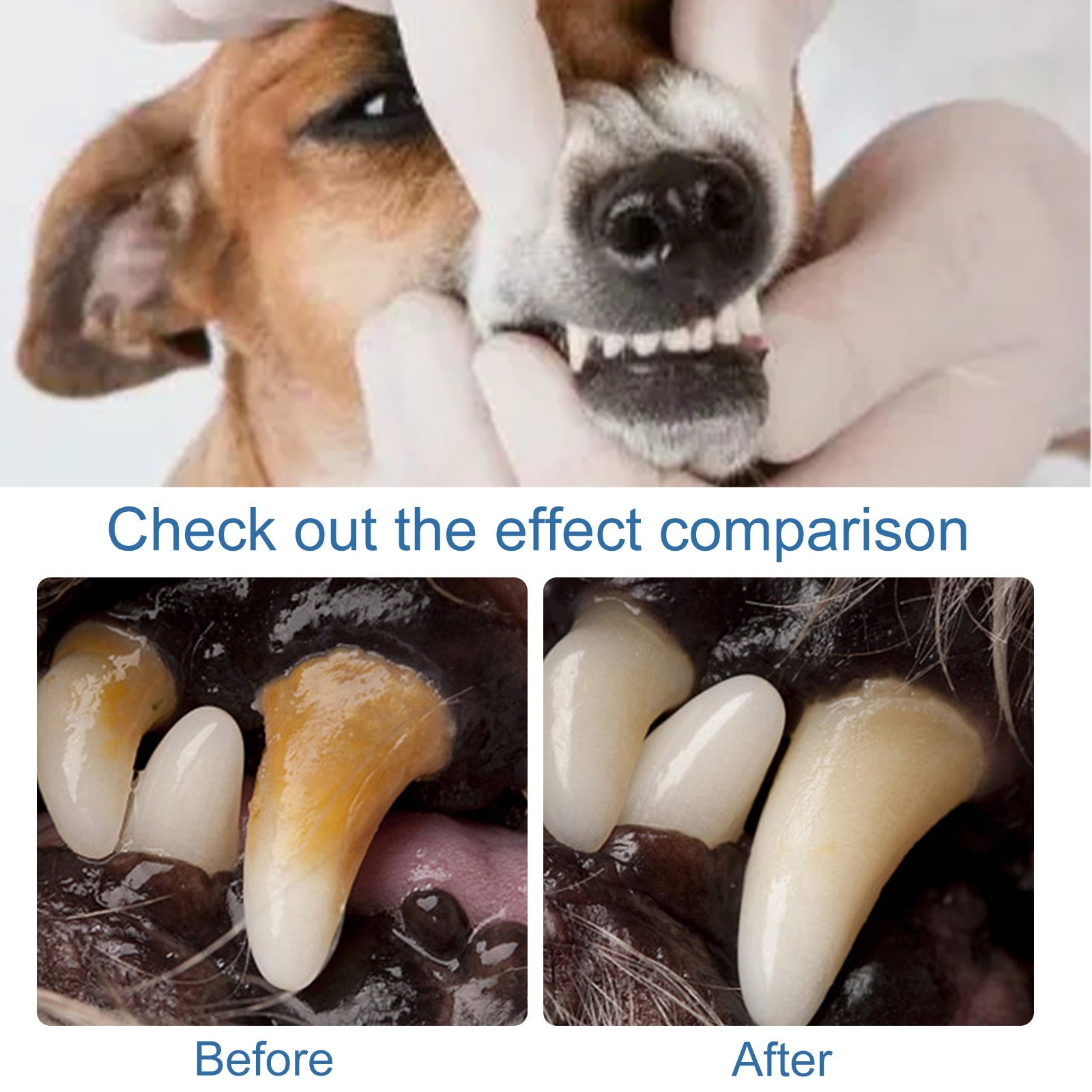 Pet Tartar Remover, Removing Dental Calculus Yellow Teeth Halitosis Cleaning Teeth Mouth Foam Cleaner