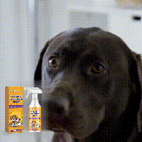 Pet Fabric Deodorizer Spray, Fresh Air Clean Pet Odors Indoor Air Fresh Long-Lasting Deodorant