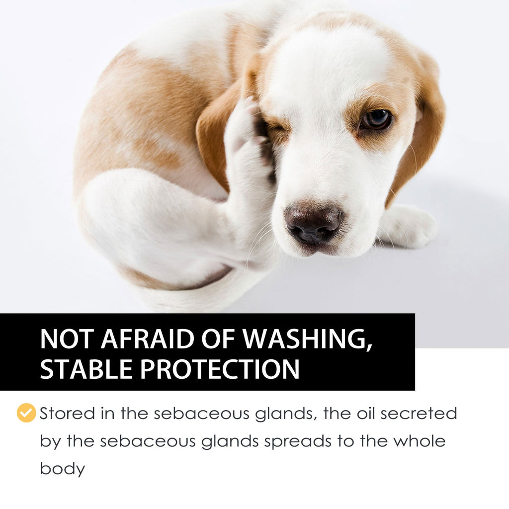 Pet Extracorporeal Insect Repellent Drops, Cats And Dogs Clean To Remove Ticks And Fleas Drops