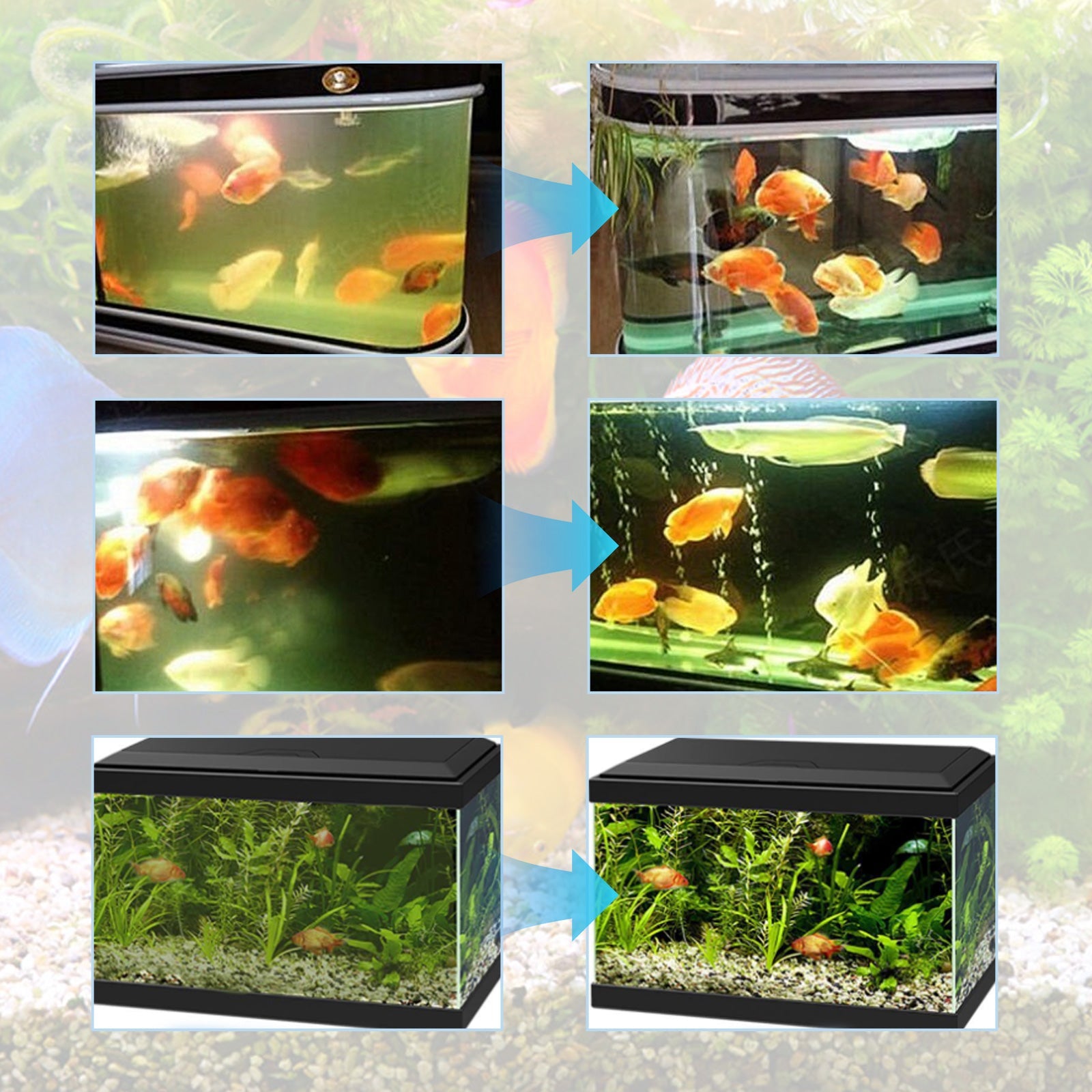 Fish Tank Water Purifier Removes Algae Powder, Clean Fish Tank Remove Moss Algae Net Water Quality Instant Algae Removal Powder