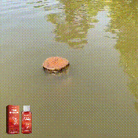 HozoneX Fish Attractants, Concentrated Fishing Comprehensive Bait Fast Nesting Red Worm Liquid Thick Fishy Bait Opening Agent