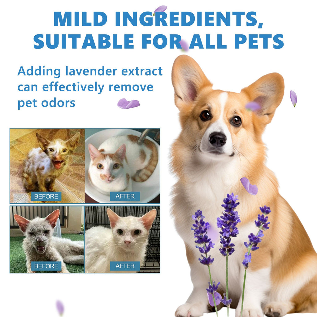 Pet Leave-In Serum Set For Cats And Dogs To Clean Hair Fluffy, Soft And Fragrance Care Essence