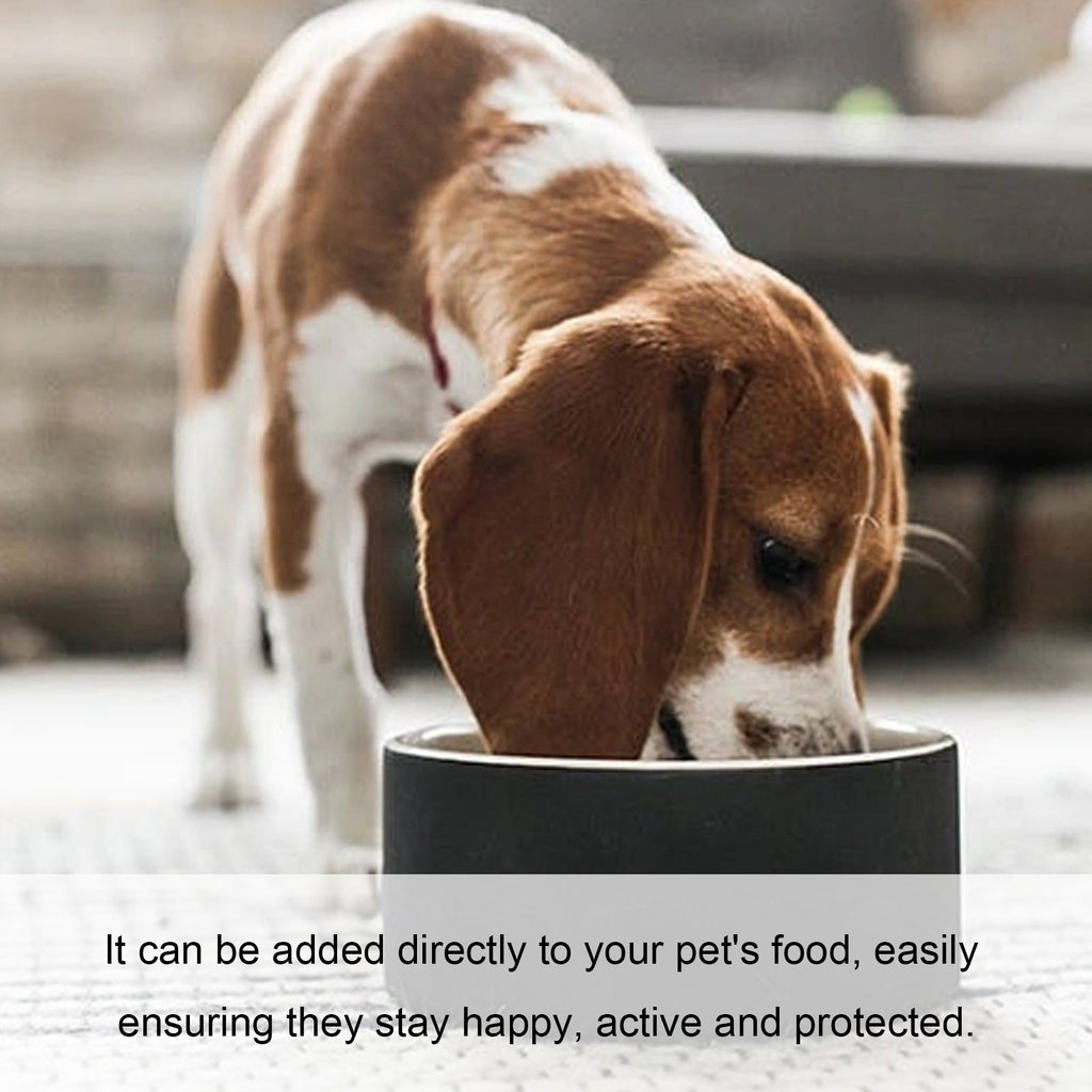 Pet Immune Oral Drops, Special Nutritional And Immune Health Drops For Cats And Dogs