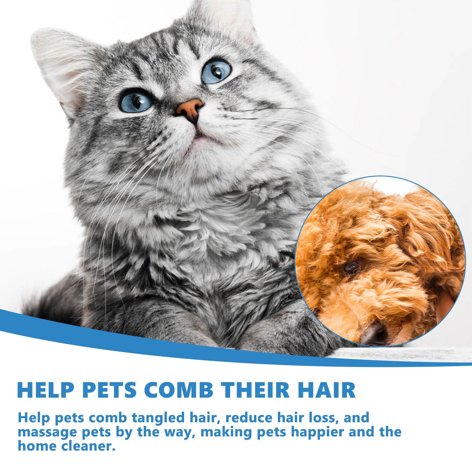 Pet Leave-In Serum Water Free Deodorization For Cats And Dogs Clean And Supple Hair Retention Care