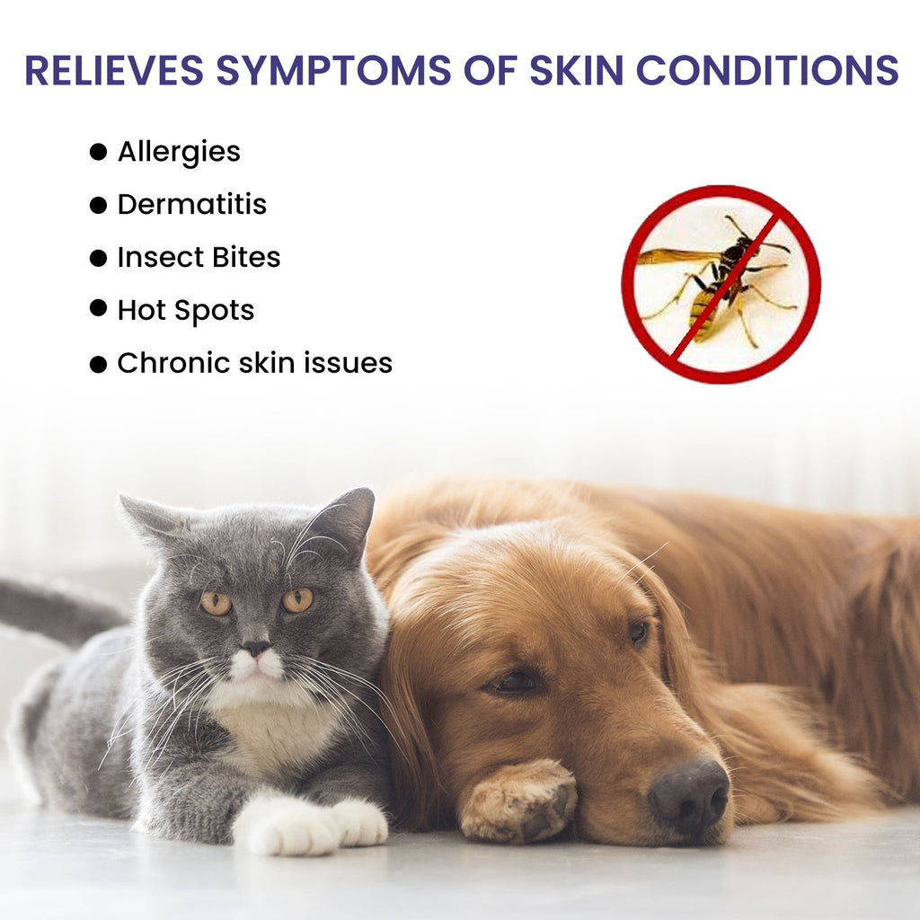 Pet Anti-Itch Spray, Pet Universal Cleaning And Soothing Skin Fur For Anti-Mite Anti-Bug Anti-Itch Spray