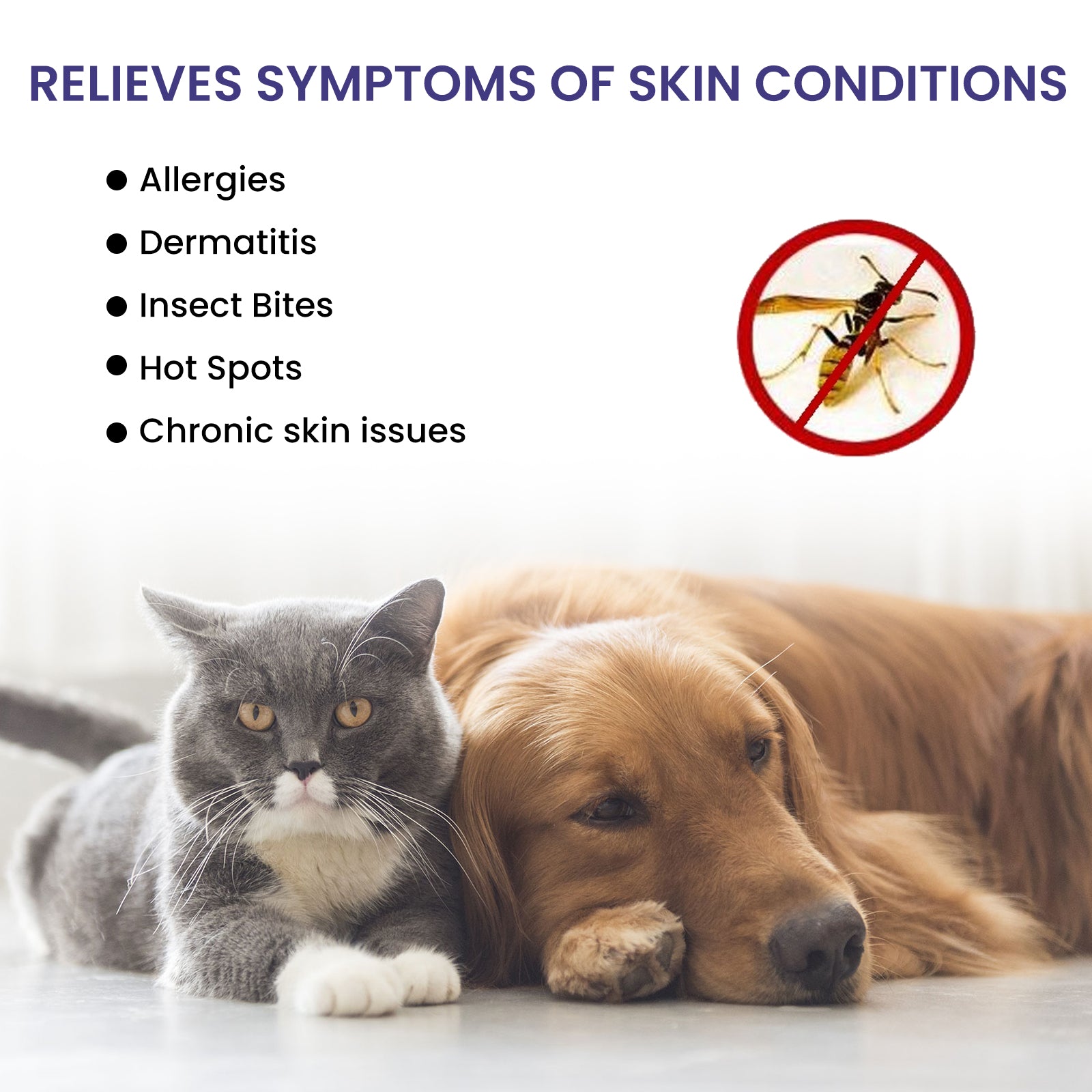 Pet Anti-Itch Spray, Pet Universal Cleaning And Soothing Skin Fur For Anti-Mite Anti-Bug Anti-Itch Spray