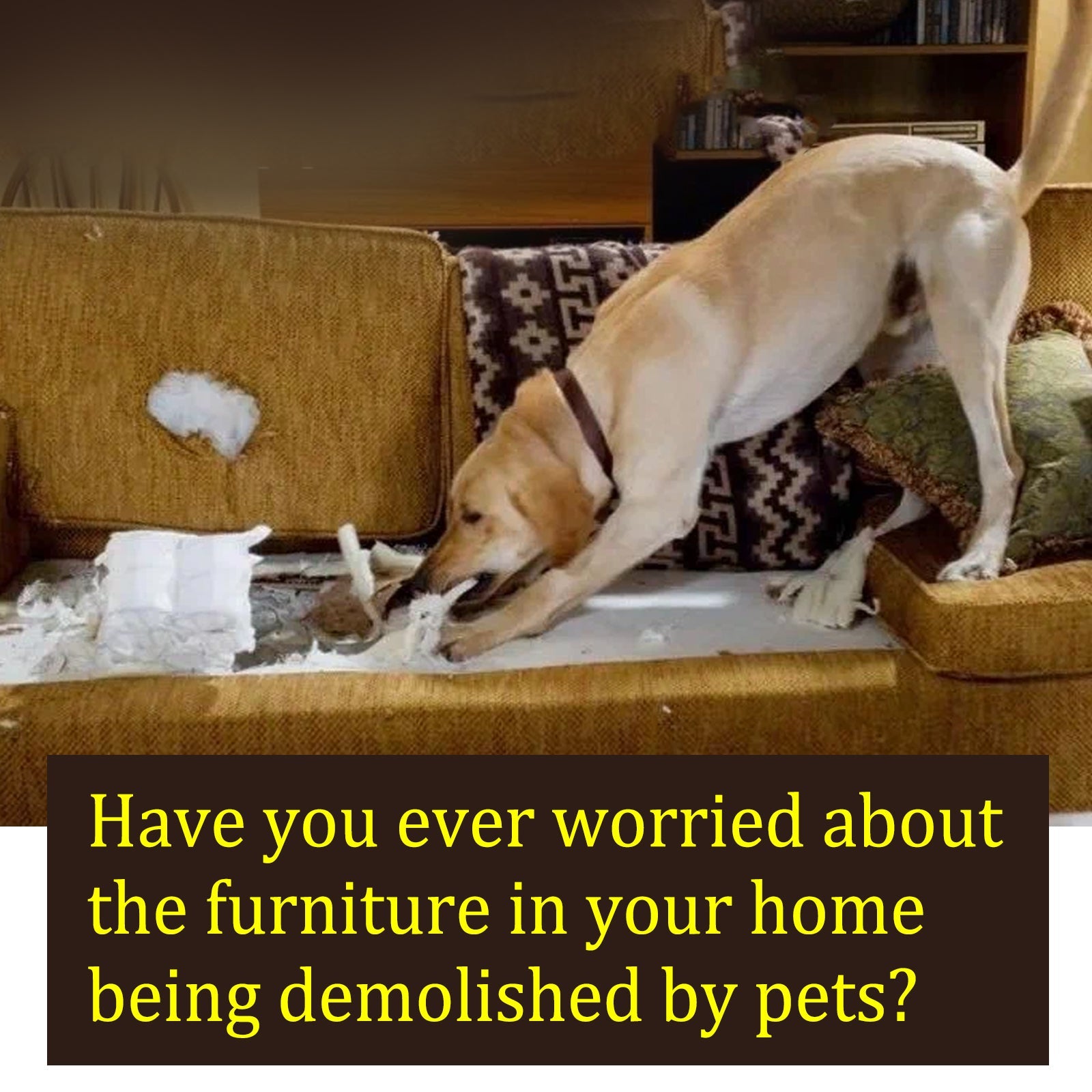 Anti-Chewing Bitter Spray For Pets, Prevent Dogs Tearing Apart Homes Scratching And Biting Long-Lasting Indoor Repellent Spray