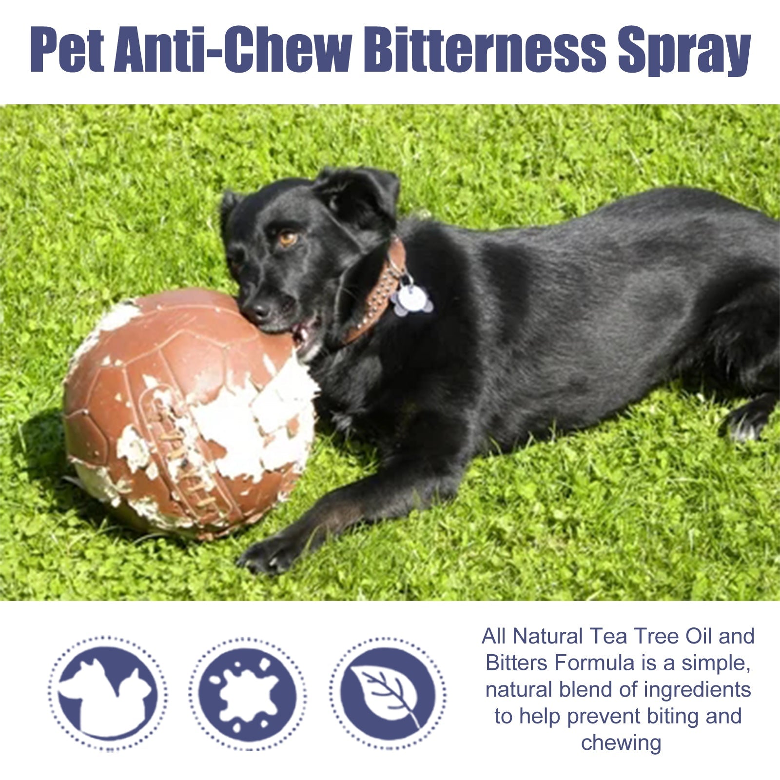 Pet Bitter Anti-Biting Spray, Prevent Dogs Chewing Table And Chair Legs, Scratching Sofa Spray