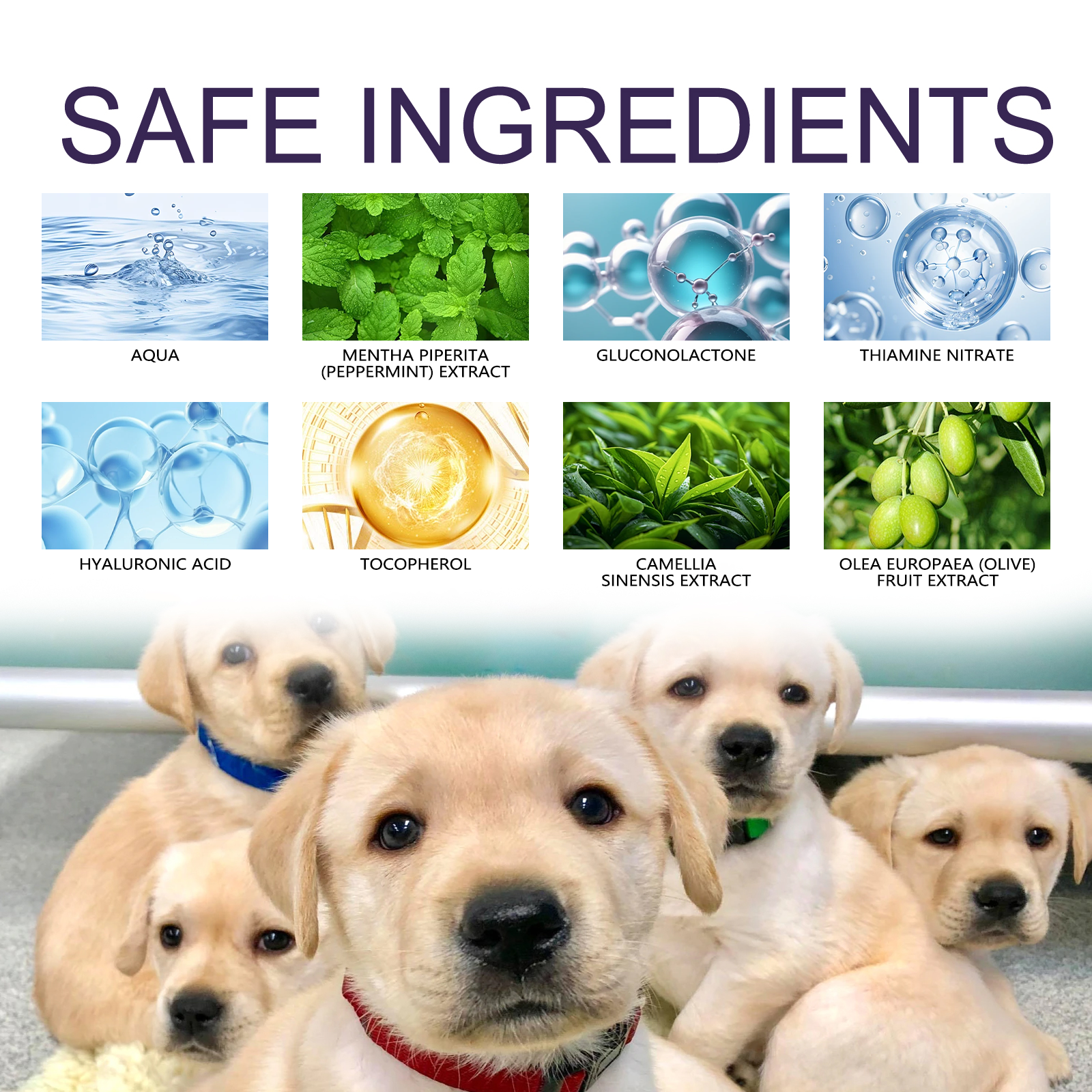 Anti-Chewing Bitter Spray For Pets, Prevent Dogs Tearing Apart Homes Scratching And Biting Long-Lasting Indoor Repellent Spray