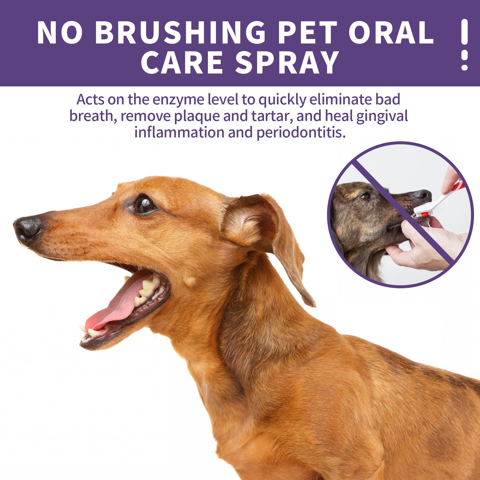 Dog And Cat Tooth Cleaning Spray, Pet Mouth Cleaning Breath Fresh Deodorizing Cleaning Spray